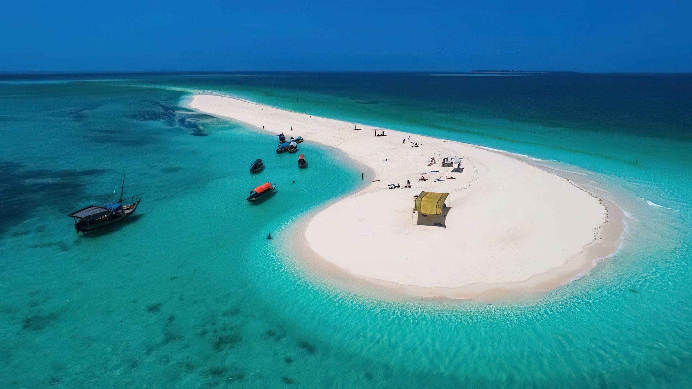 Safari Blue Tour (Full-Day Sea Adventure)